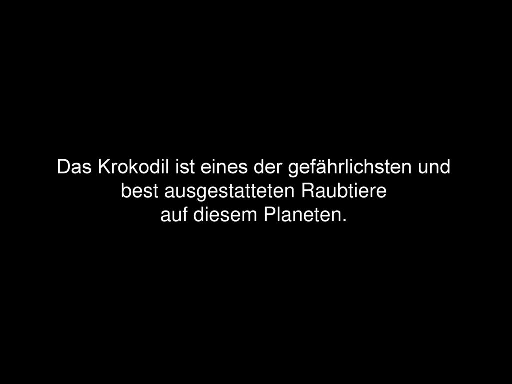 Das Krokodil ist eines der gefährlichsten und best ausgestatteten Raubtiere auf diesem Planeten.