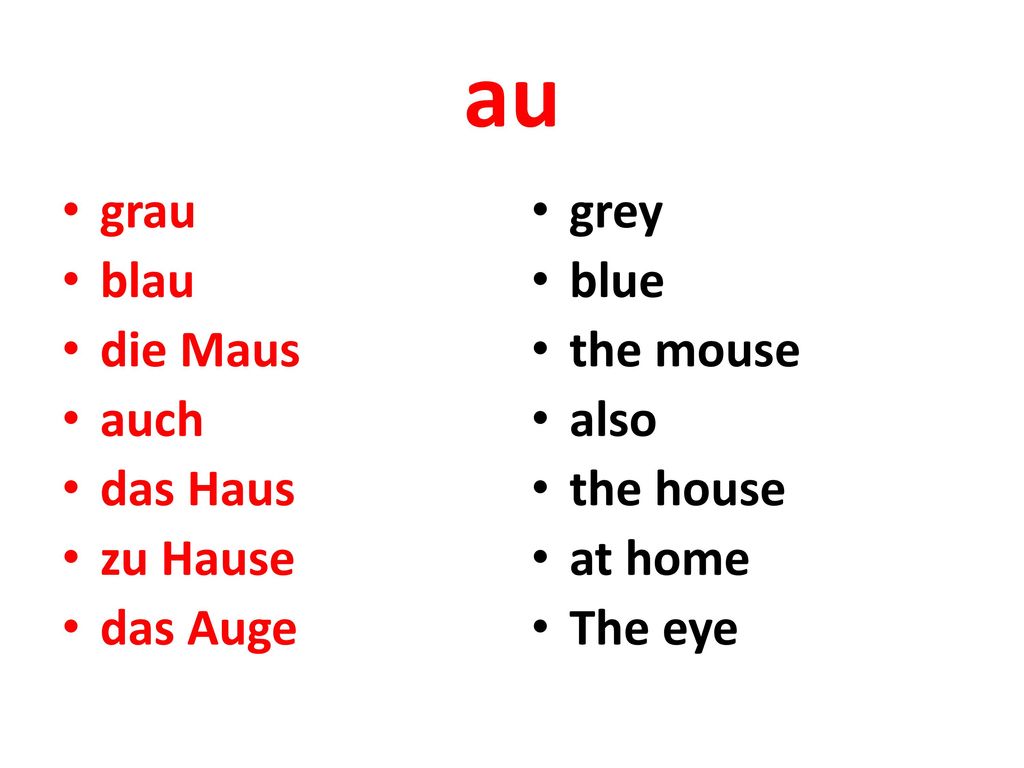 au grau blau die Maus auch das Haus zu Hause das Auge grey blue