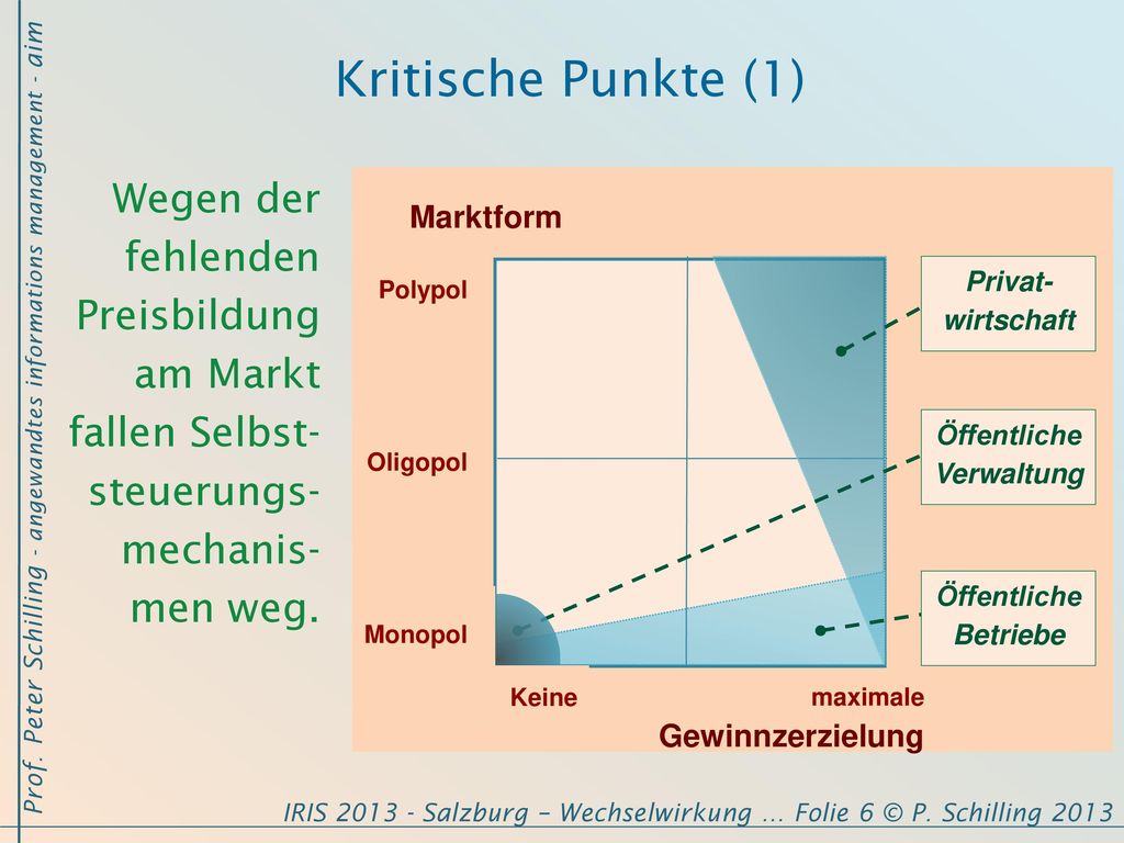 Kritische Punkte (1) Wegen der fehlenden Preisbildung am Markt fallen Selbst- steuerungs- mechanis- men weg.