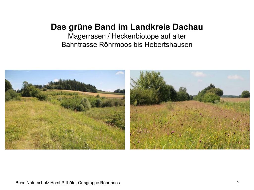 Das grüne Band im Landkreis Dachau Magerrasen / Heckenbiotope auf alter Bahntrasse Röhrmoos bis Hebertshausen