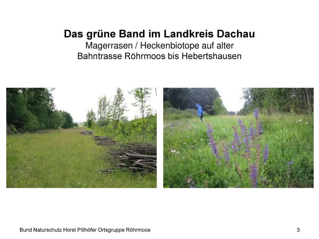 Das grüne Band im Landkreis Dachau Magerrasen / Heckenbiotope auf alter Bahntrasse Röhrmoos bis Hebertshausen