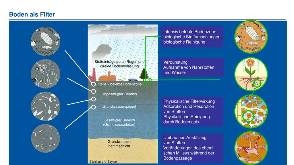 Boden als Filter Intensiv belebte Bodenzone: biologische Stoffumsetzungen, biologische Reinigung.