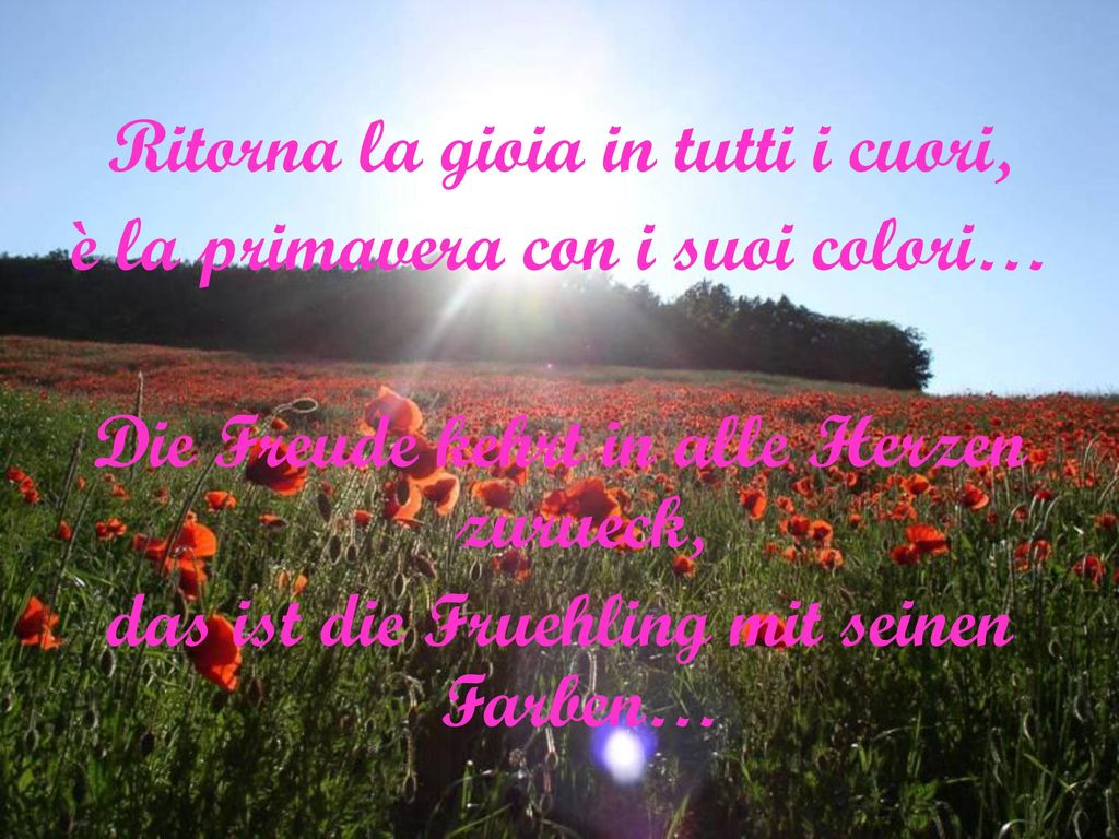 Ritorna la gioia in tutti i cuori, è la primavera con i suoi colori…