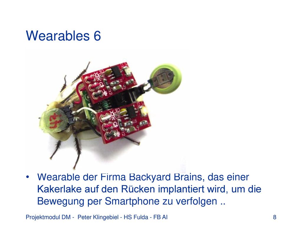 Wearables 6 Wearable der Firma Backyard Brains, das einer Kakerlake auf den Rücken implantiert wird, um die Bewegung per Smartphone zu verfolgen ..