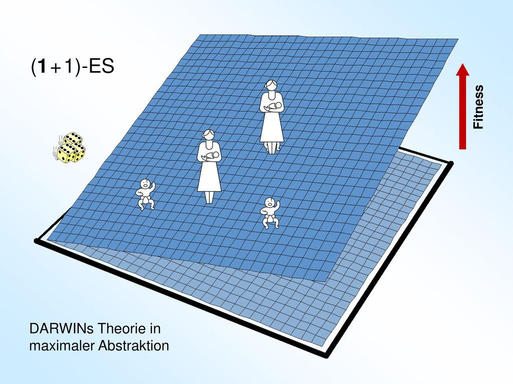 (1 + 1)-ES Fitness DARWINs Theorie in maximaler Abstraktion