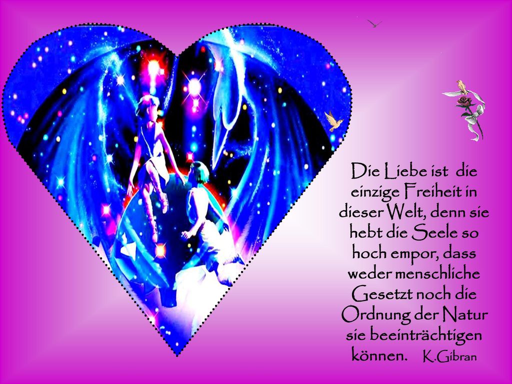 Die Liebe ist die einzige Freiheit in dieser Welt, denn sie hebt die Seele so hoch empor, dass weder menschliche Gesetzt noch die Ordnung der Natur sie beeinträchtigen können.