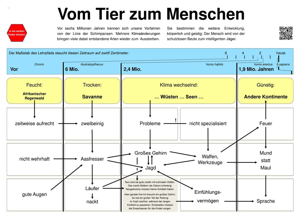 Vom Tier zum Menschen Vor 6 Mio. 2,4 Mio. 1,9 Mio. Jahren Feucht: