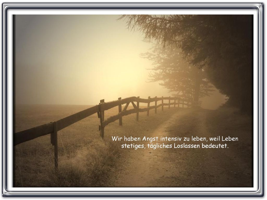 Wir haben Angst intensiv zu leben, weil Leben stetiges, tägliches Loslassen bedeutet.