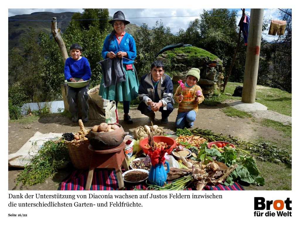 Dank der Unterstützung von Diaconía wachsen auf Justos Feldern inzwischen die unterschiedlichsten Garten- und Feldfrüchte.