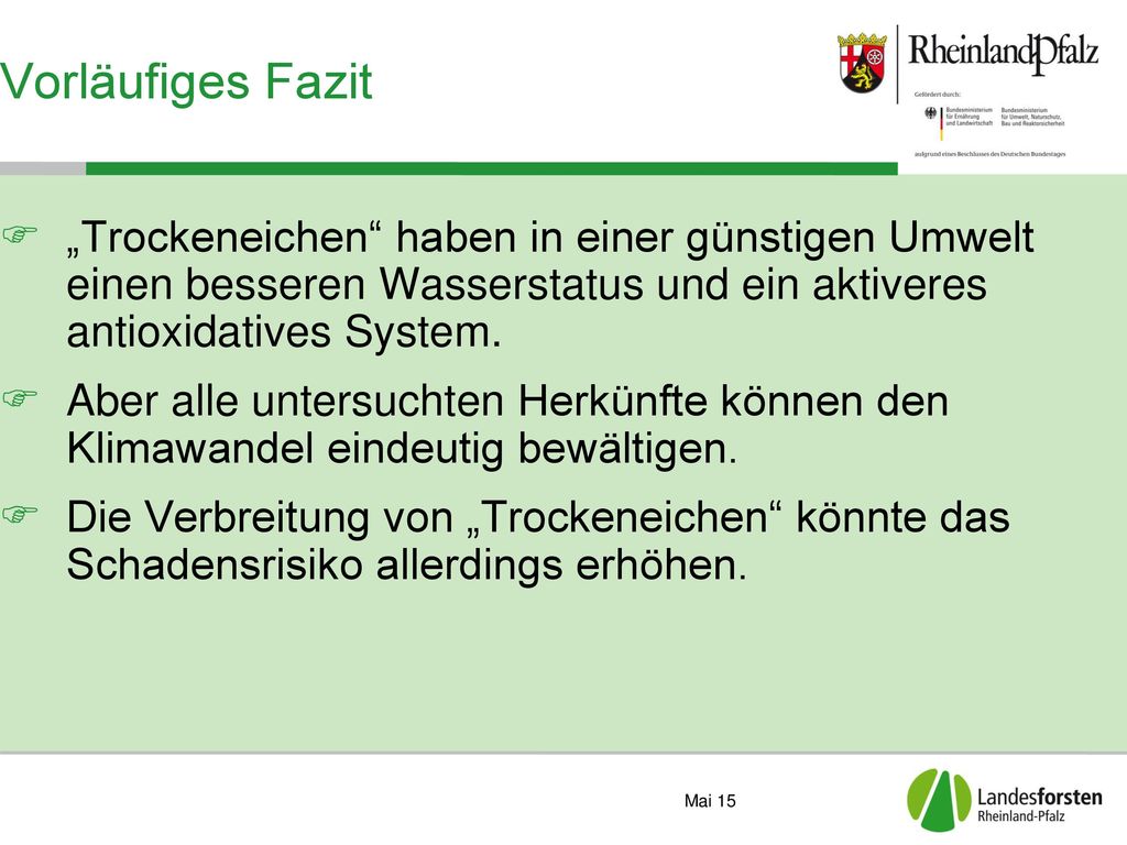Vorläufiges Fazit „Trockeneichen haben in einer günstigen Umwelt einen besseren Wasserstatus und ein aktiveres antioxidatives System.