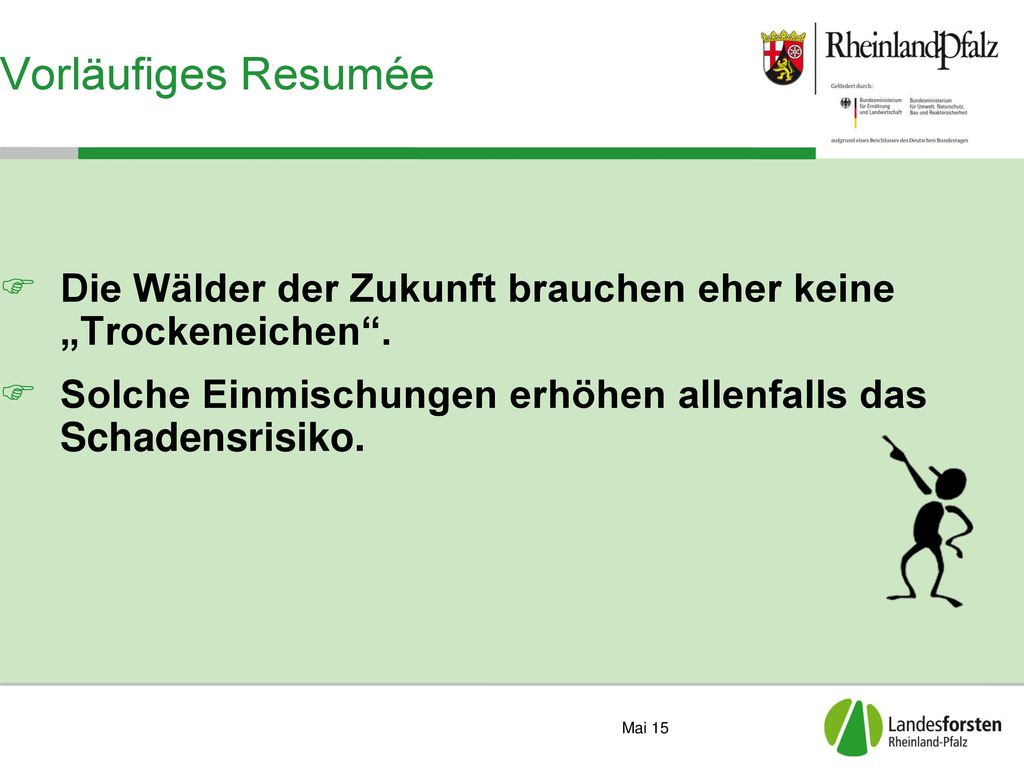 Vorläufiges Resumée Die Wälder der Zukunft brauchen eher keine „Trockeneichen . Solche Einmischungen erhöhen allenfalls das Schadensrisiko.