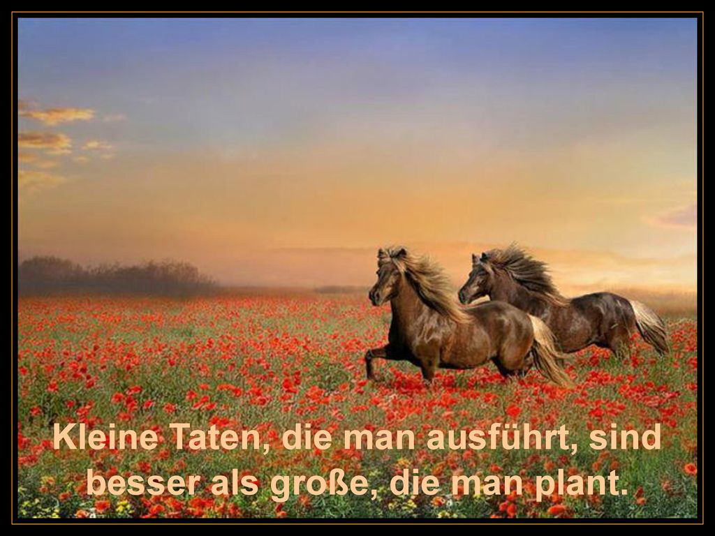 Kleine Taten, die man ausführt, sind besser als große, die man plant.