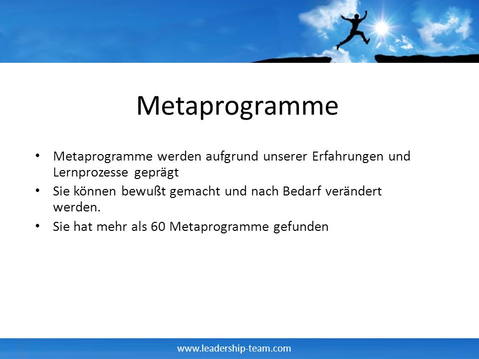 Metaprogramme Metaprogramme werden aufgrund unserer Erfahrungen und Lernprozesse geprägt.