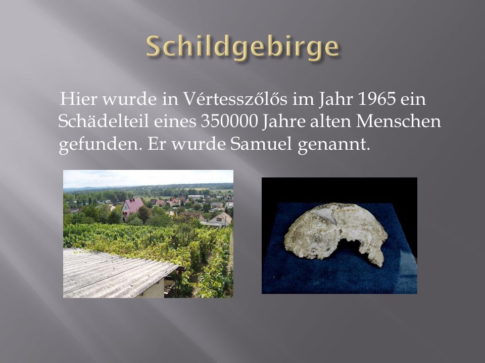 Schildgebirge Hier wurde in Vértesszőlős im Jahr 1965 ein Schädelteil eines Jahre alten Menschen gefunden.