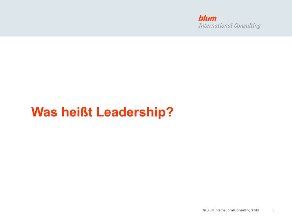 Was heißt Leadership © Blum International Consulting GmbH