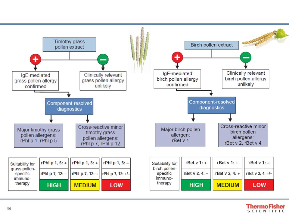 Valenta R. New Horizons Allergy (Phadia AB, Sweden) Vol. 1/2002
