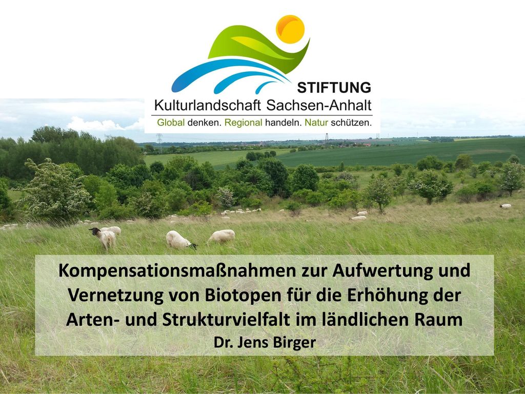 Kompensationsmaßnahmen zur Aufwertung und Vernetzung von Biotopen für die Erhöhung der Arten- und Strukturvielfalt im ländlichen Raum Dr. Jens Birger