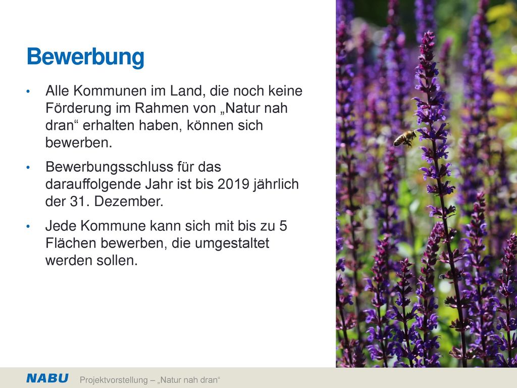 Bewerbung Alle Kommunen im Land, die noch keine Förderung im Rahmen von „Natur nah dran erhalten haben, können sich bewerben.