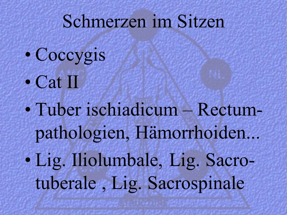 Schmerzen im Sitzen Coccygis. Cat II. Tuber ischiadicum – Rectum-pathologien, Hämorrhoiden...