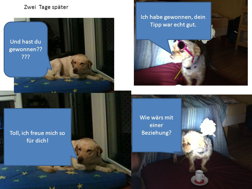 Ich habe gewonnen, dein Tipp war echt gut.