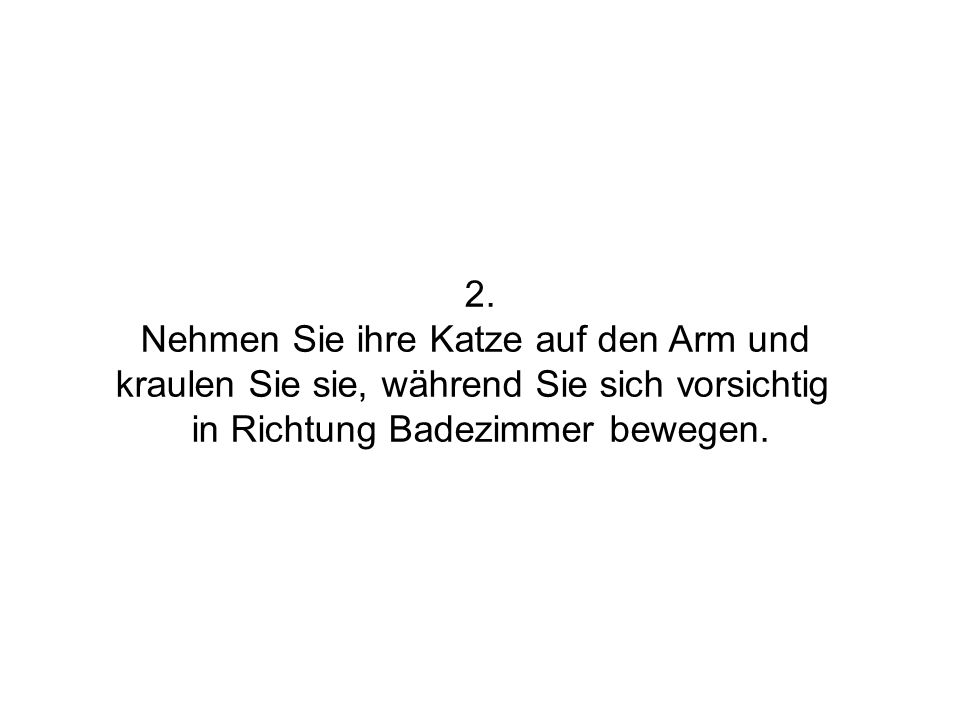 Nehmen Sie ihre Katze auf den Arm und