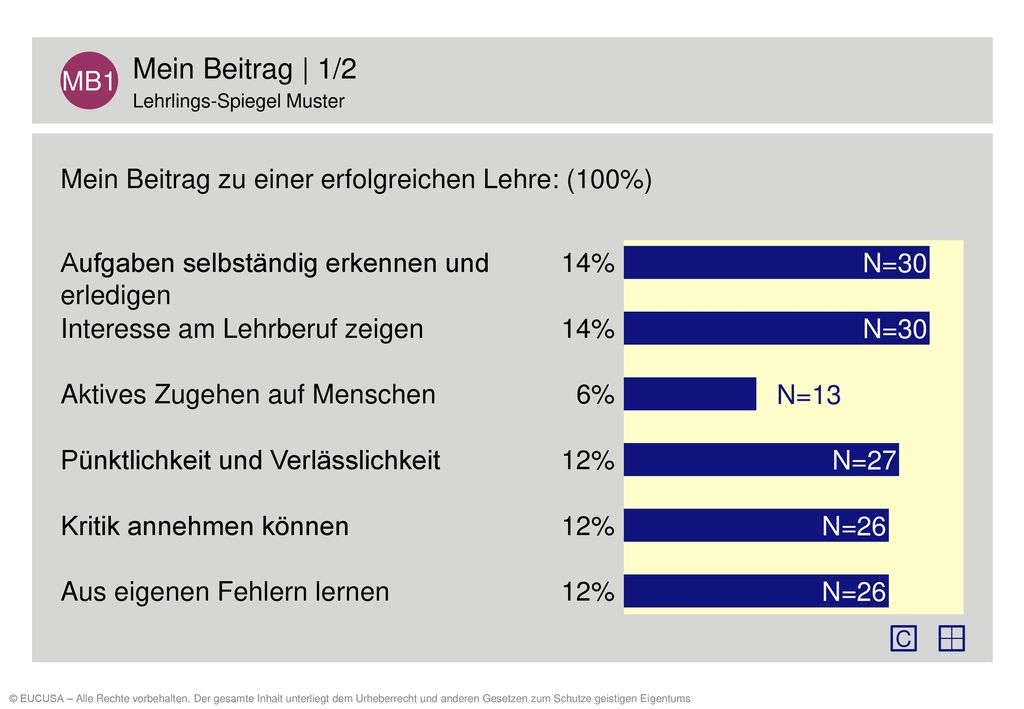 MB1 Mein Beitrag | 1/2. Lehrlings-Spiegel Muster. Mein Beitrag zu einer erfolgreichen Lehre: (100%)