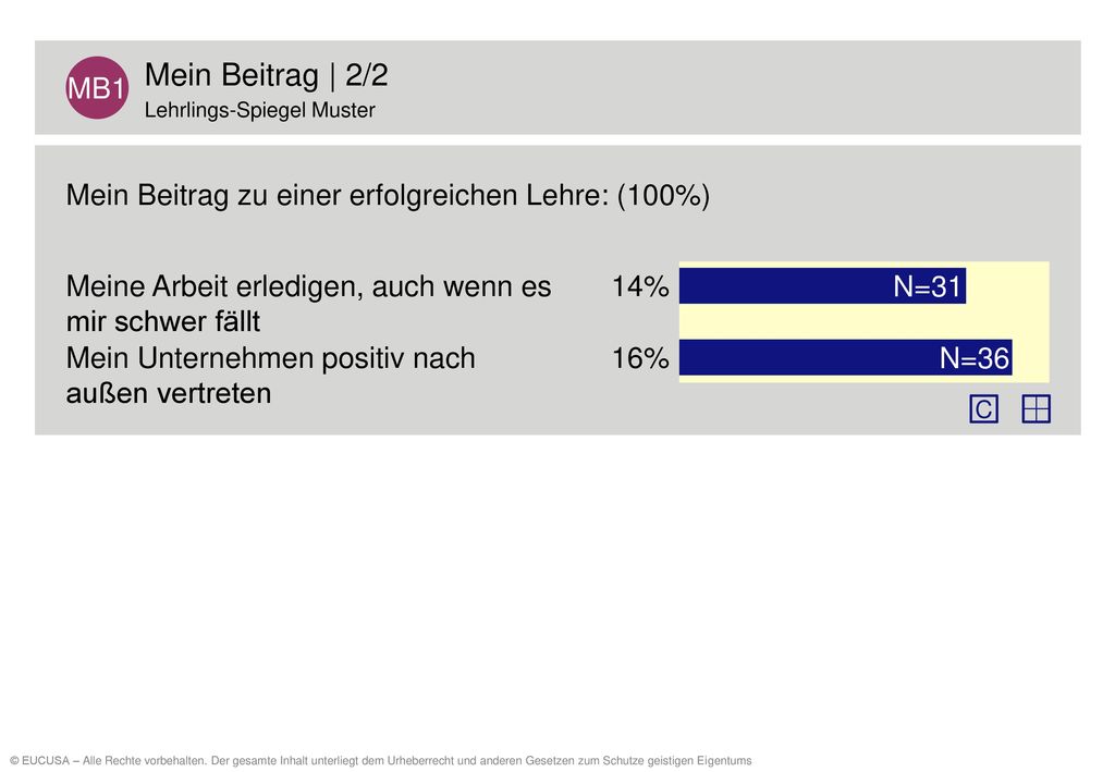MB1 Mein Beitrag | 2/2. Lehrlings-Spiegel Muster. Mein Beitrag zu einer erfolgreichen Lehre: (100%)