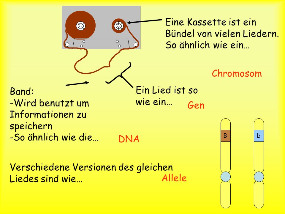 Eine Kassette ist ein Bündel von vielen Liedern. So ähnlich wie ein…