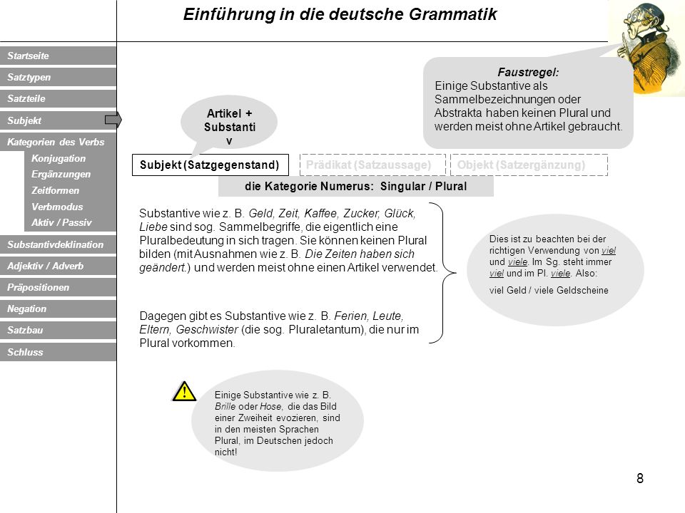die Kategorie Numerus: Singular / Plural