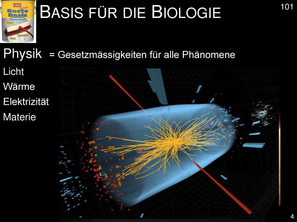 Basis für die Biologie Physik = Gesetzmässigkeiten für alle Phänomene