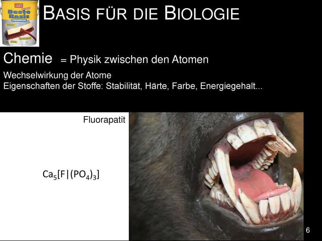 Basis für die Biologie Chemie = Physik zwischen den Atomen