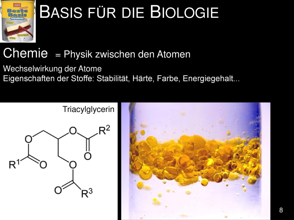 Basis für die Biologie Chemie = Physik zwischen den Atomen