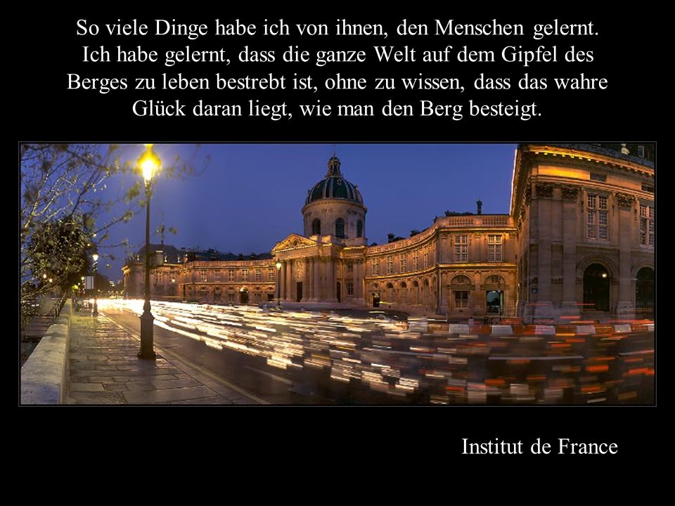 So viele Dinge habe ich von ihnen, den Menschen gelernt