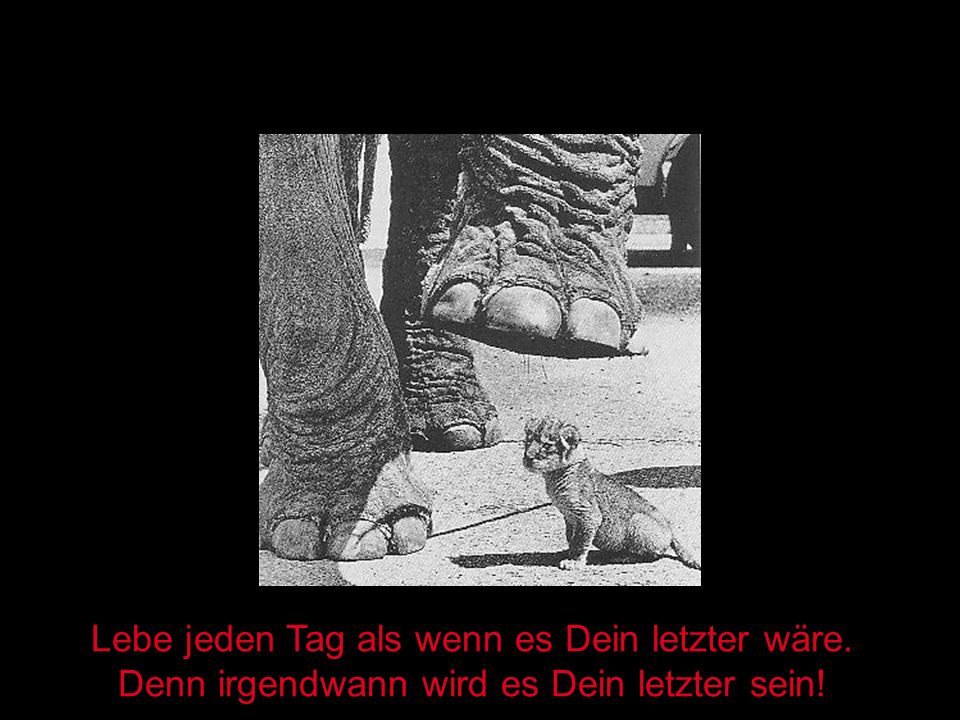 Lebe jeden Tag als wenn es Dein letzter wäre