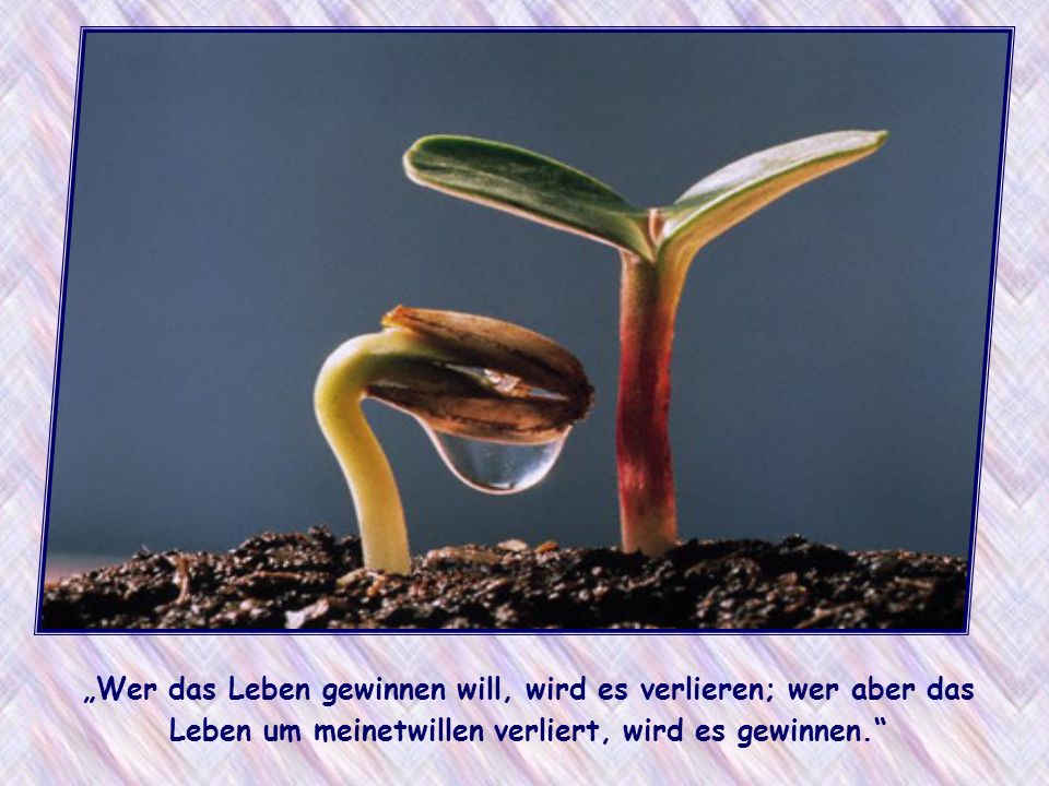 „Wer das Leben gewinnen will, wird es verlieren; wer aber das Leben um meinetwillen verliert, wird es gewinnen.
