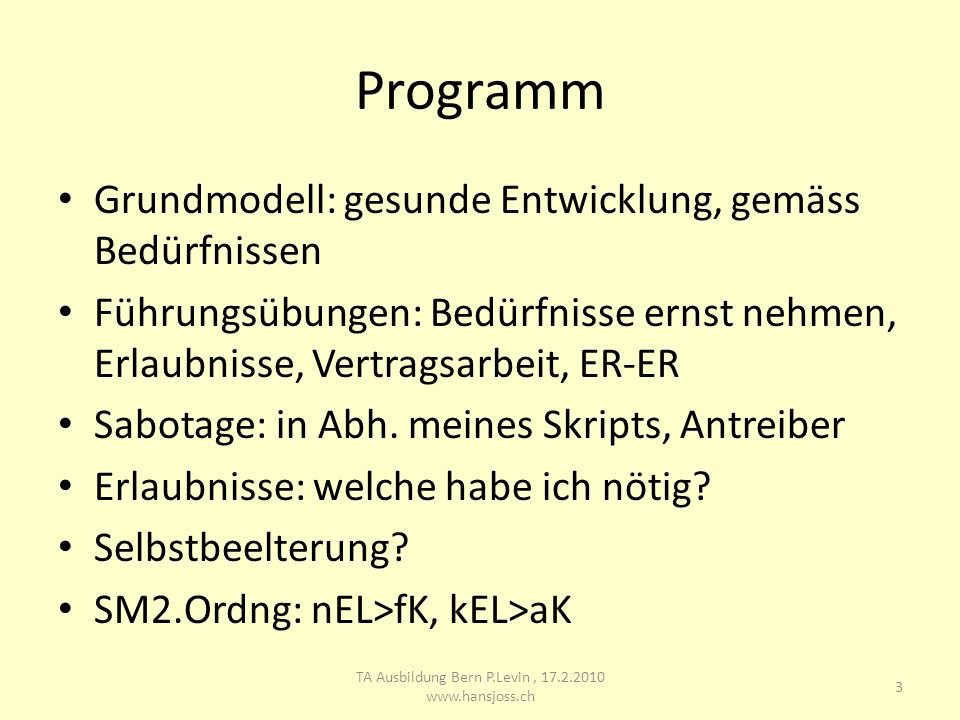 TA Ausbildung Bern P.Levin ,