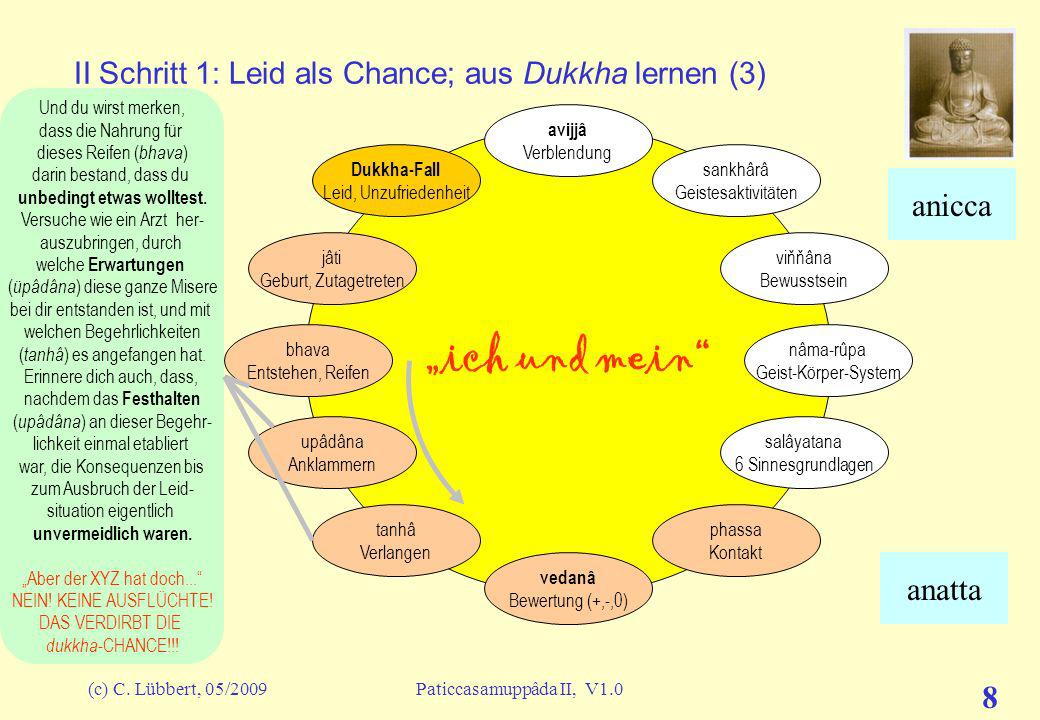 II Schritt 1: Leid als Chance; aus Dukkha lernen (3)