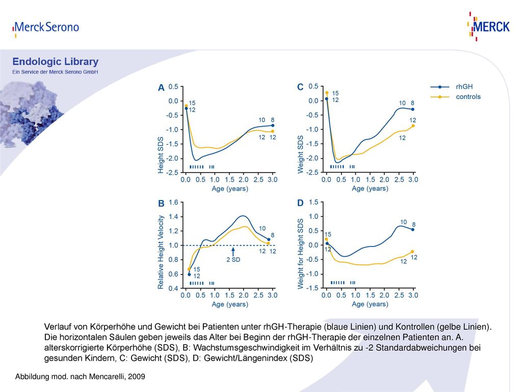 Verlauf von Körperhöhe und Gewicht bei Patienten unter rhGH-Therapie (blaue Linien) und Kontrollen (gelbe Linien). Die horizontalen Säulen geben jeweils das Alter bei Beginn der rhGH-Therapie der einzelnen Patienten an. A. alterskorrigierte Körperhöhe (SDS), B: Wachstumsgeschwindigkeit im Verhältnis zu -2 Standardabweichungen bei gesunden Kindern, C: Gewicht (SDS), D: Gewicht/Längenindex (SDS)