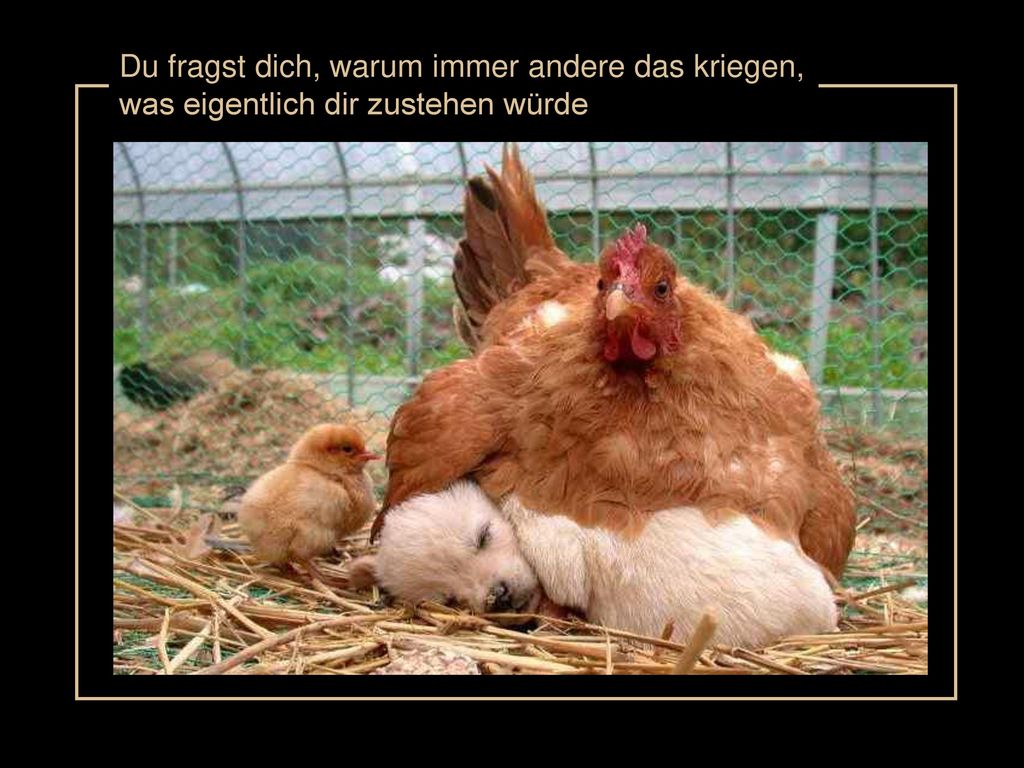 Du fragst dich, warum immer andere das kriegen, was eigentlich dir zustehen würde