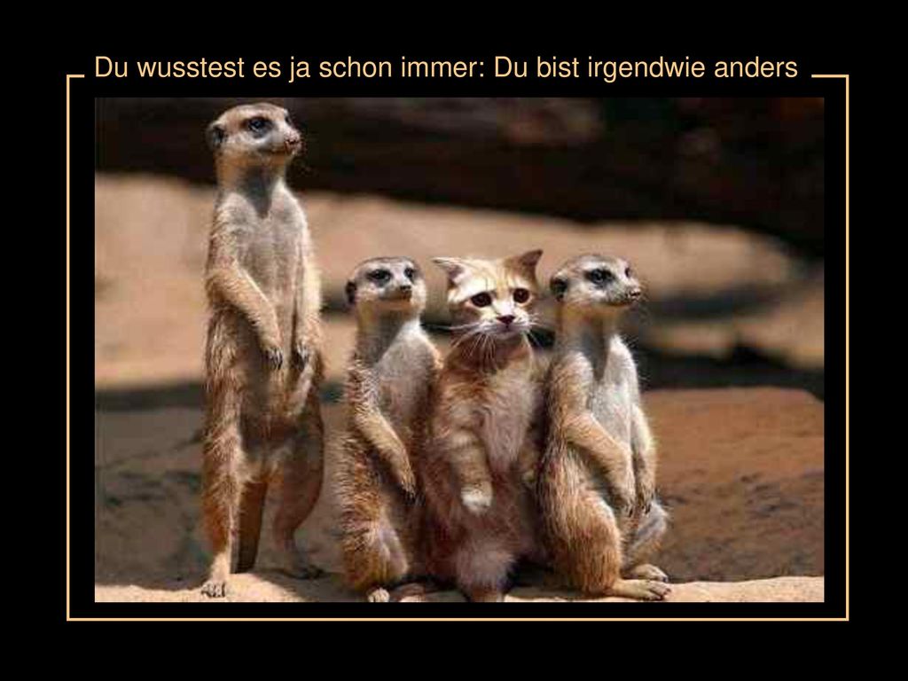 Du wusstest es ja schon immer: Du bist irgendwie anders