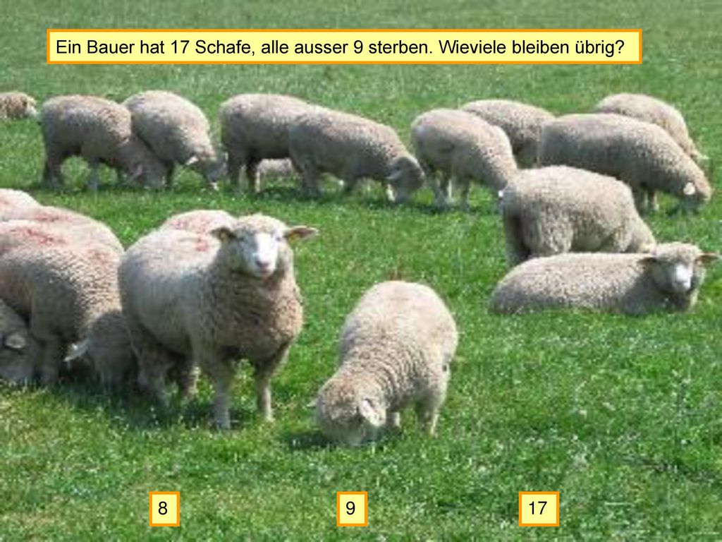 Ein Bauer hat 17 Schafe, alle ausser 9 sterben. Wieviele bleiben übrig