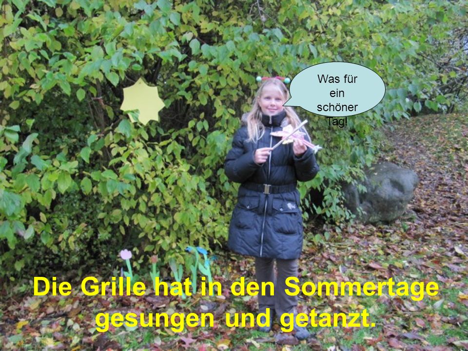 Die Grille hat in den Sommertage gesungen und getanzt.