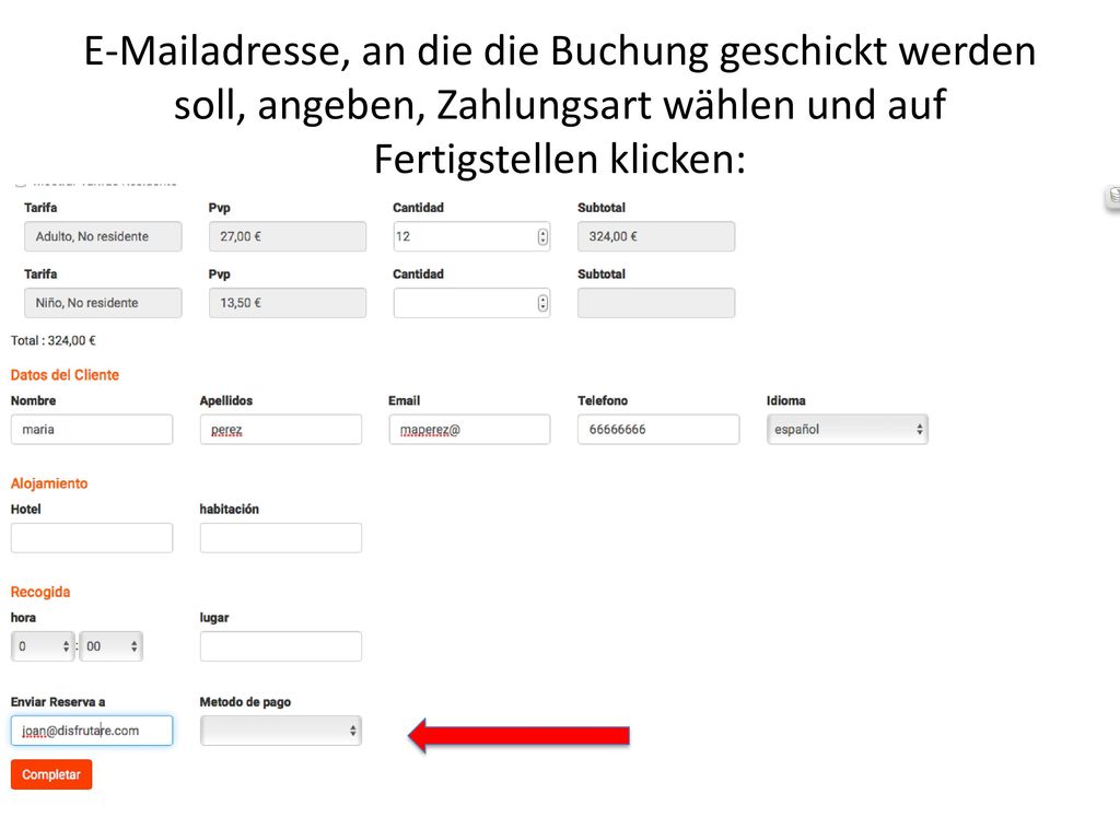 adresse, an die die Buchung geschickt werden soll, angeben, Zahlungsart wählen und auf Fertigstellen klicken: