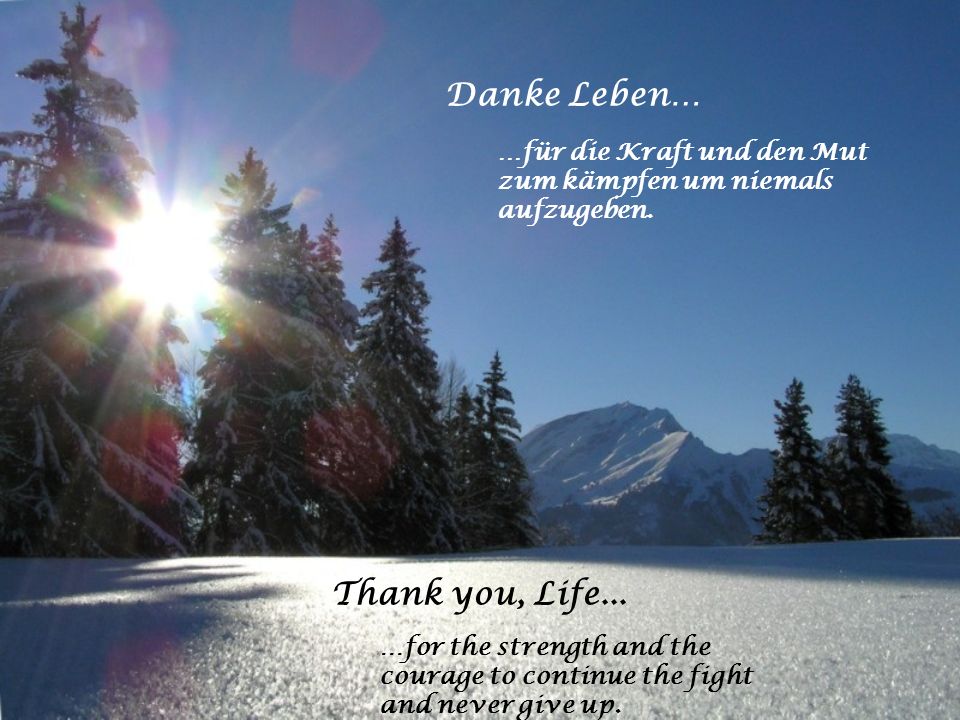 Thank you, Life! Alle Bilder von All pictures from ppt herunterladen
