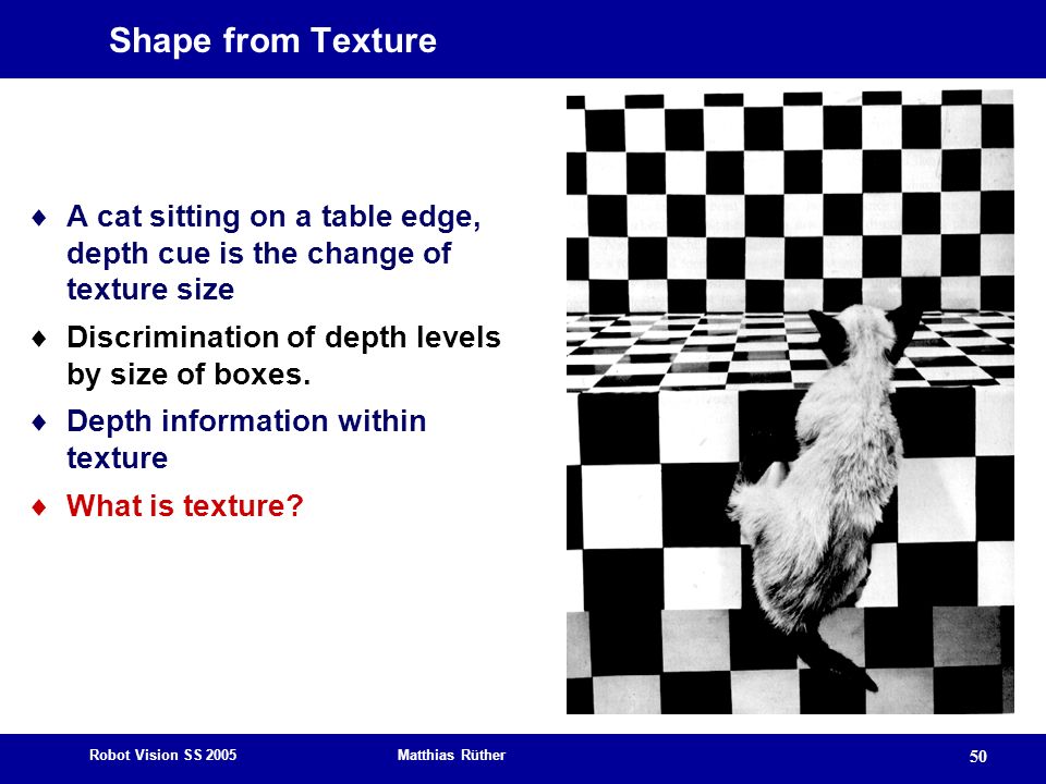 Shape from Texture A cat sitting on a table edge, depth cue is the change of texture size. Discrimination of depth levels by size of boxes.
