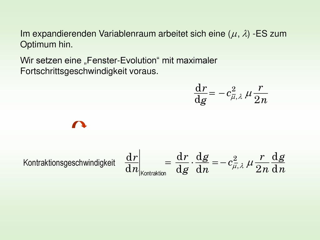 Im expandierenden Variablenraum arbeitet sich eine (m , l) -ES zum Optimum hin.