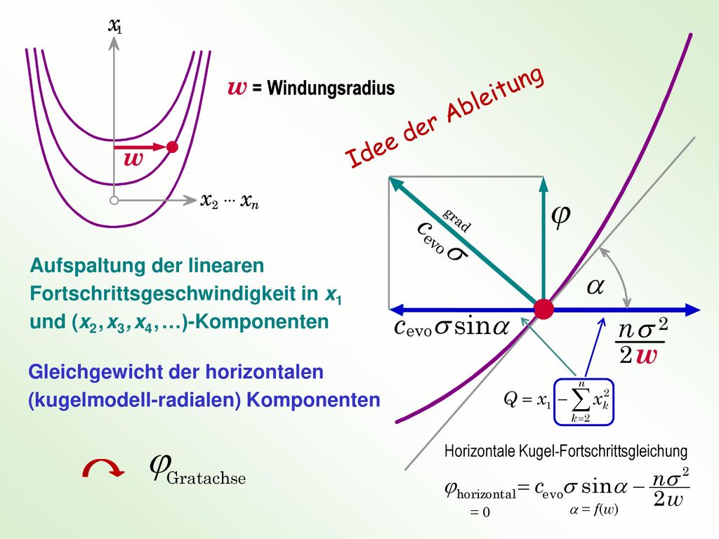 Idee der Ableitung grad. Aufspaltung der linearen Fortschrittsgeschwindigkeit in x1 und (x2 , x3 , x4 , …)-Komponenten.
