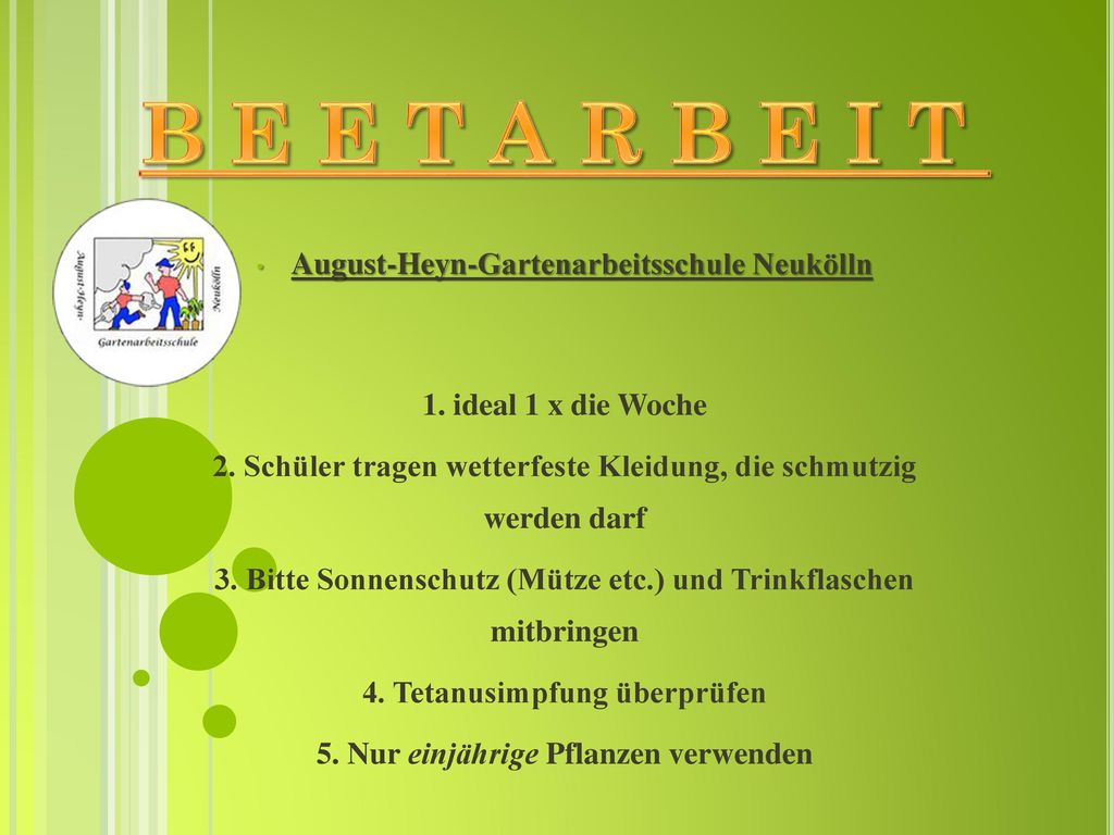 B E E T A R B E I T August-Heyn-Gartenarbeitsschule Neukölln