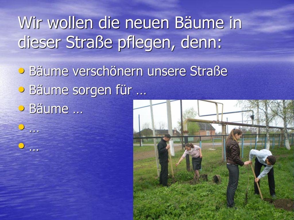 Wir wollen die neuen Bäume in dieser Straße pflegen, denn: