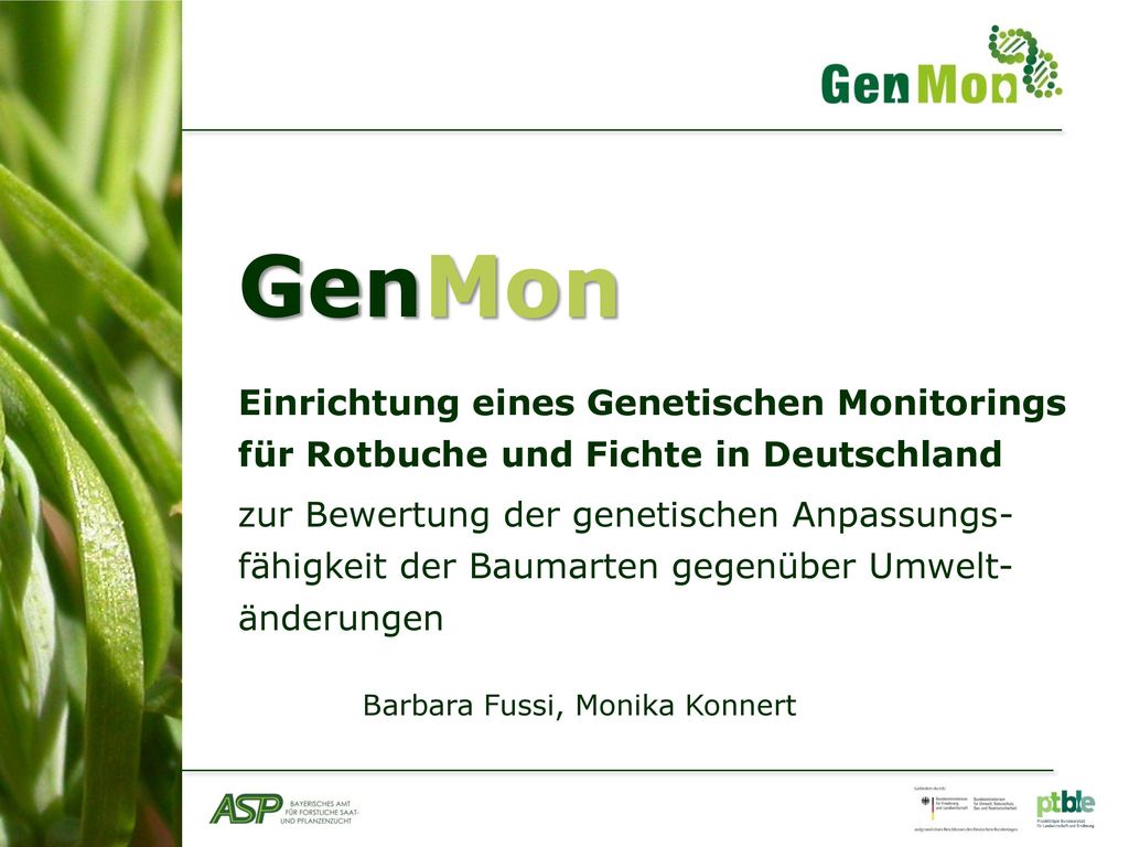 GenMon Einrichtung eines Genetischen Monitorings für Rotbuche und Fichte in Deutschland.